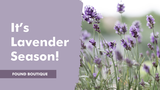 It’s Lavender Season: 3 Essential Lavender Products